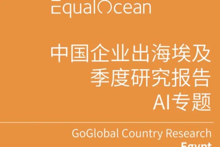 亿欧：中国企业出海埃及季度研究报告-AI专题2025Q2