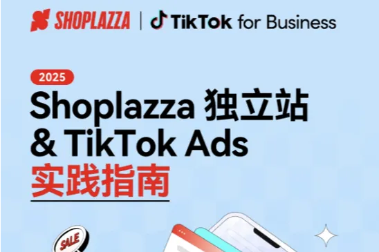 独立站+TikTok Ads实践指南